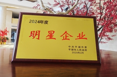 新春新景新气象 | 优发国际纸业在平湖三干大会上喜摘声誉！